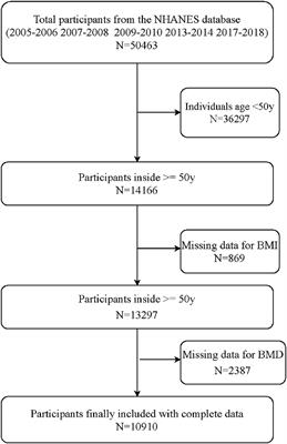 The Saturation Effect of Body Mass Index on Bone Mineral Density for People Over 50 Years Old: A Cross-Sectional Study of the US Population